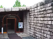 ΐ
